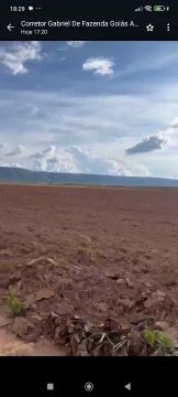 Fazenda arrendamento 3 mil.hect. planta 1.600 argila 40%