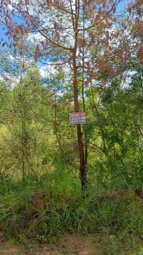 Terreno.Parque Eldorado