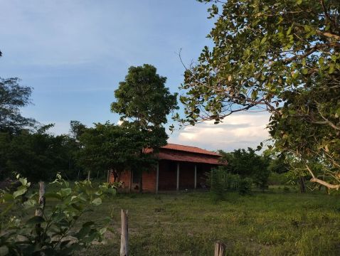 Sítio com casa, pomar e área verde
