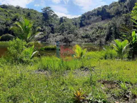 Alugo Fazenda no Rio do Engenho
