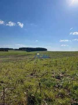 Fazenda produtiva em Água Doce SC com 383 Alqueires