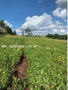 Área Rural para Venda em Jataizinho, RURAL