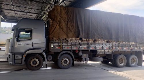 Caminhão 24250 bitruck excelente a toda prova caminhão puxa mamão anda só leve