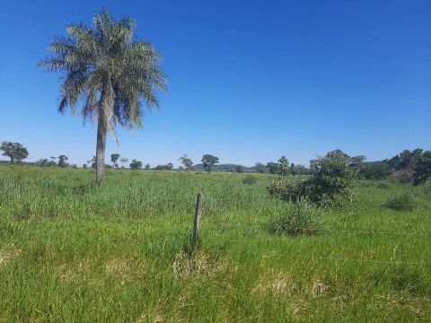 COD294- FAZENDA 4.909HECTARES Porto Murtinho/MS.o - MS