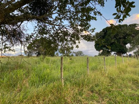 Excelente Terreno Rural Em Pouso Alegre MG