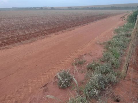 FAZENDA COM 400HEC PRA LAVOURA, NA REGIÃO DE UBERLÂNDIA!!