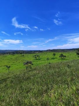 Vendo Chácara de 2 Mil metros  na Região da Fazenda Velha