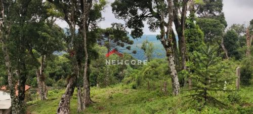 Lote em Rua dos Pessegueiros - Campo do Meio - São Francisco de Paula/RS