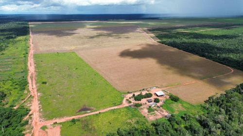 3 Fazendas de arrendamento em nova Ubiratã MT. Descrição abaixo