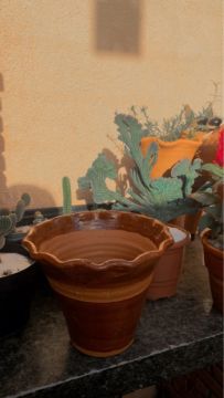 Vaso de cerâmica para plantas