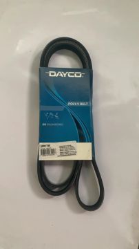 Correia automotiva DAYCO Poly- v Belt NOVA! 