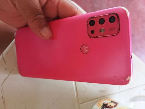 Celular