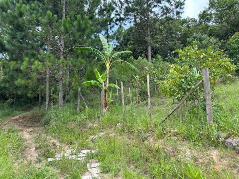 Terreno com área verde em região tranquila em Piedade 