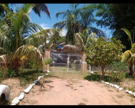 Alugo casa no Distrito de Palmeiras MS 