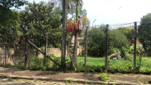 Terreno à venda com potencial construtivo em Capoeiras, Florianópolis/SC.