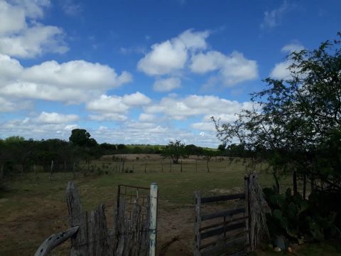 Vendo ou Troco essa fazenda em Uauá - Ba