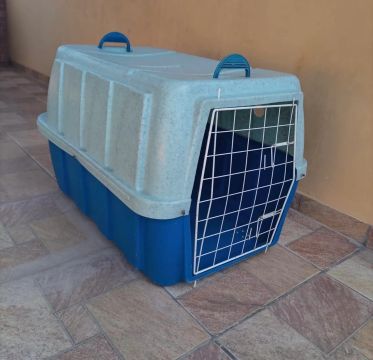 Caixa de Transporte para Cachorros 