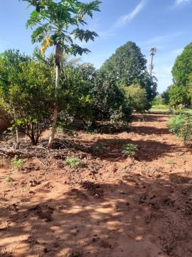 Vende-se  chácara ótima localização, quitada, Total de 1050 m² .