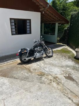 Harley Davidson XL custom 883