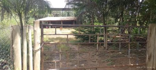 BELÍSSIMO SÍTIO EM JOÃO PINHEIRO MG 