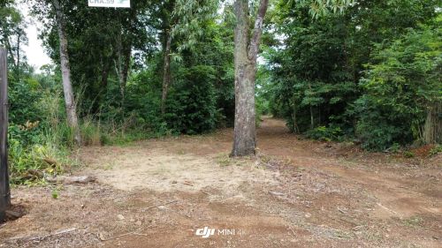 Oportunidade terreno 5 alqueires Serra do Lageado a 50 km de Palmas