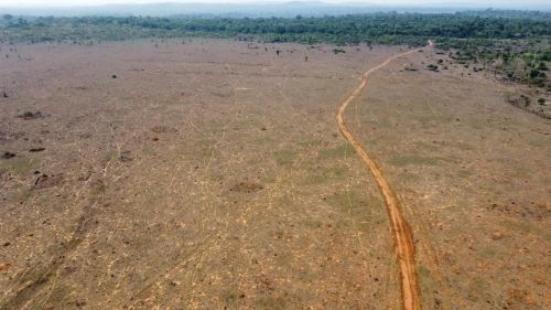 Fazenda arrendamento 6.500hect em Peixoto Azevedo MT. R$: na descrição.