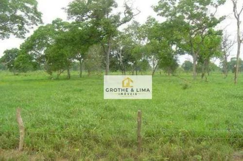 Excelente fazenda de cria no Pantanal à venda em Corumba-MS.