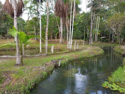 Vendo LOTES PARA CHÁCARA/SÍTIO,  COM IGARAPÉ NA ÁREA LAZER ,  mensais a partir 330