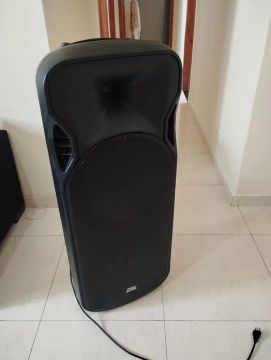 Caixa de som Ativa Probass Power Bass 215