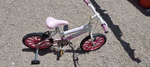 bike bicicleta infantil usada 