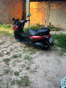N max 2019