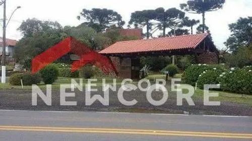 Lote em avenida ximangos - Colinas - São Francisco de Paula/RS