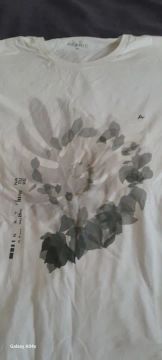 Camiseta ,Aramis
