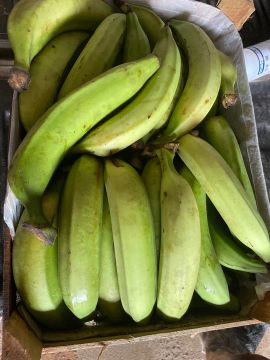Bananas Verdes - Frescas e Deliciosas