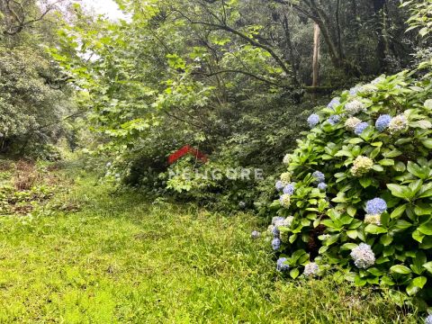 Lote em Rua 22 - Alpes - São Francisco de Paula/RS