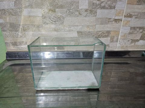 Aquário de Vidro Pequeno para Decoração 3L
