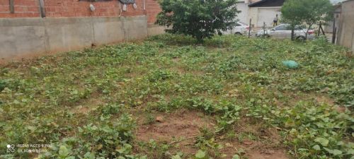 Terreno 
