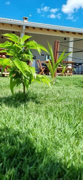 Espaço gelada 