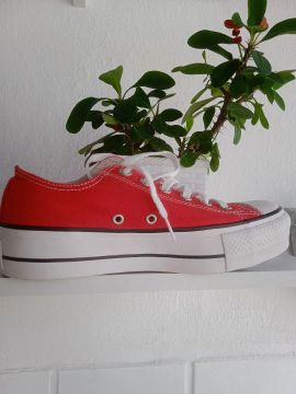 Tênis converse ALL star feminino original 