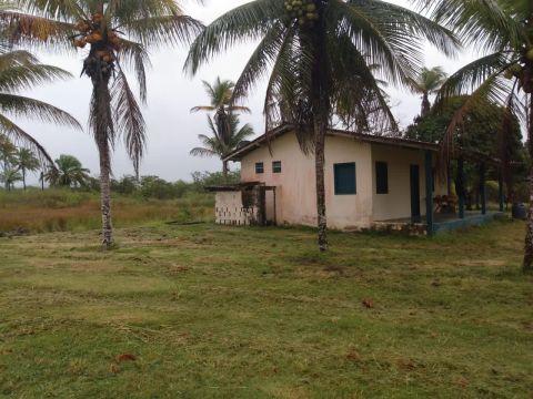 Vendo excelente Fazenda em jaguaripe 