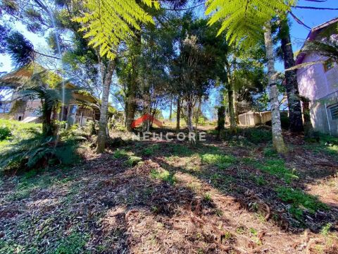 Lote em Rua Pedro Duarte Barcelos - Centro - São Francisco de Paula/RS