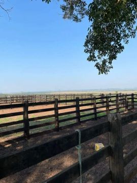 Fazenda á venda na região de Presidente Kennedy a 12 km da cidade e 25 de Guaraí