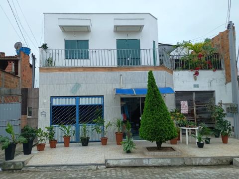 Vende-se plantas.