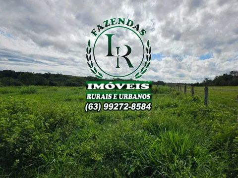Fazenda 377 Alqueires Tocantins Campos Lindos