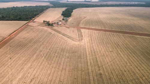 Fazenda arrendamento 800hec. Plantando a 20km de Sinop, ágio 3 milhões 