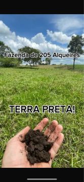 Fazenda 205 Alqueire terra preta e vermelha pronta