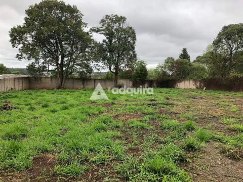 Terreno à venda, Cará-cará, Ponta Grossa, PR
