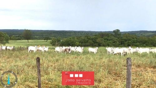Fazenda para Venda em Bonito, 3 dormitórios, 2 banheiros