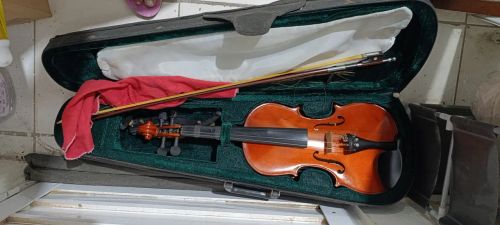 Violino clássico em ótimo estado