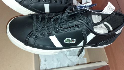 Tênis Lacoste Masculino Preto